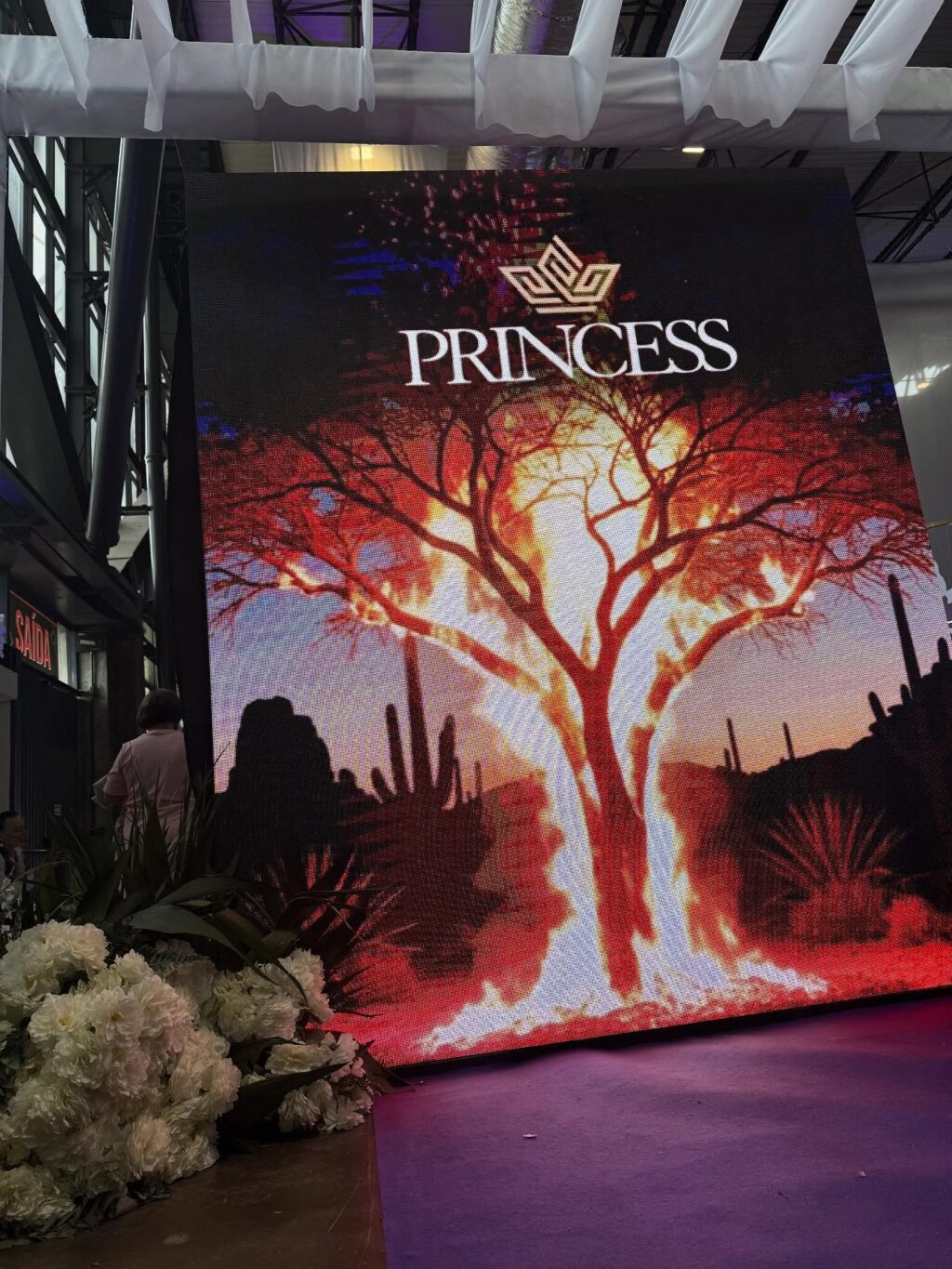 Instagram post from draleticiacasassola. This post is in position 2.